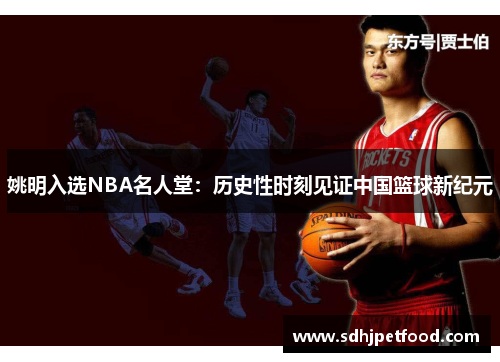 姚明入选NBA名人堂：历史性时刻见证中国篮球新纪元